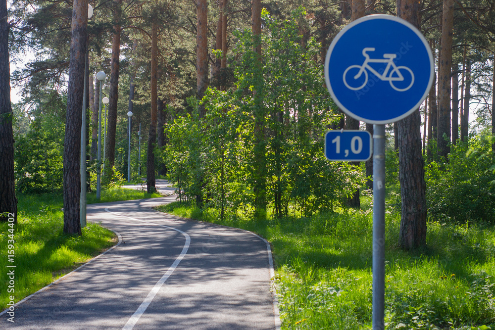 Asphalt road in the forest. Trees and bushes with green foliage. Summer Asphalt road in the forest. Trees and bushes with green foliage. Summer