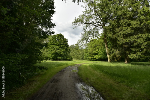 Chemin ombragé vers une clairière au Jardin Botanique Nationale de Belgique à Meise