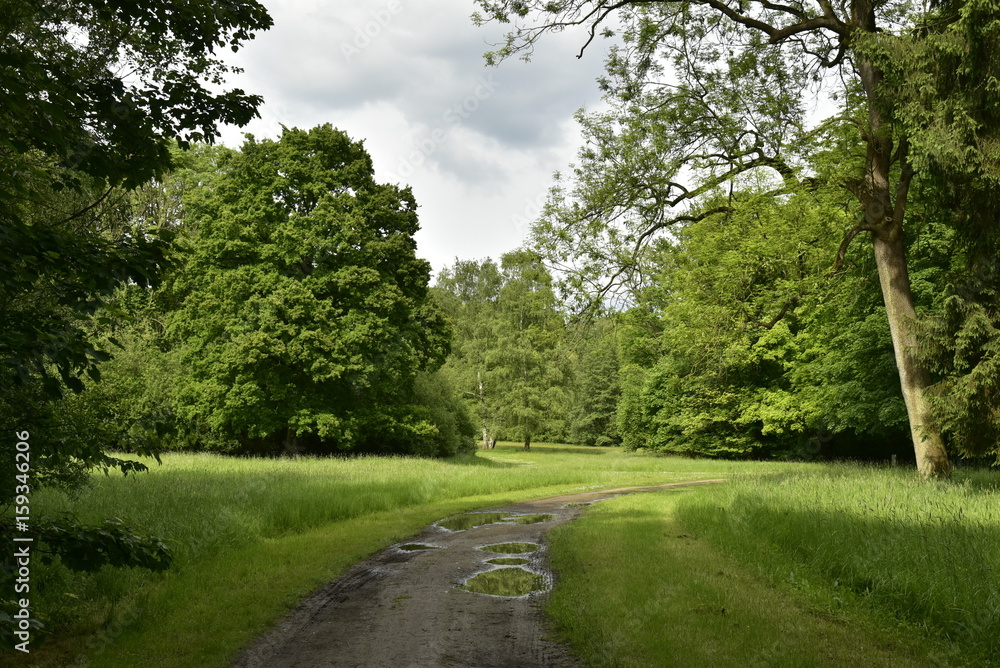 L'une des clairières dans le bois du Jardin Botanique Nationale de Belgique à Meise