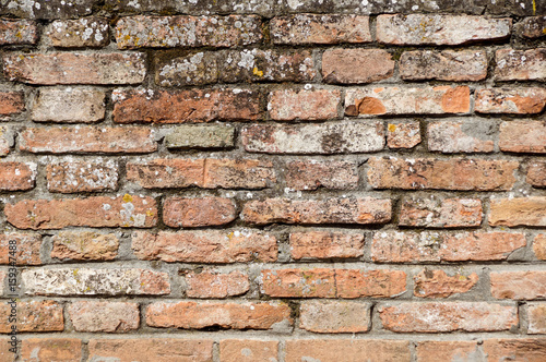 original and concrete Red brick wall background .