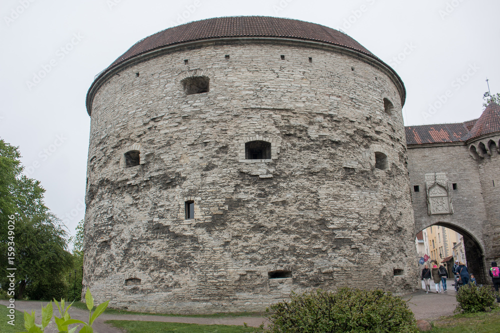 Kanonenturm „Dicke Margarethe“ Tallinn Estland