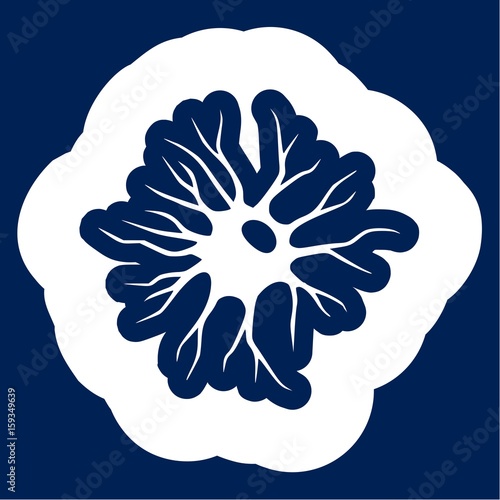 Neuron, Nerve Cell Icon Flat Graphic Design - Illustration