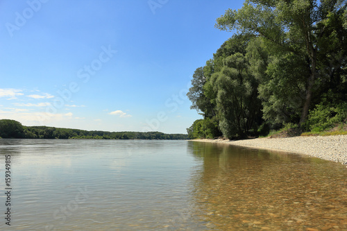 Naturnahes Donauufer in Niederösterreich Anfang Juni