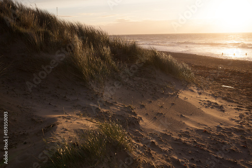 Dunes at Camber Sands, East Sussex