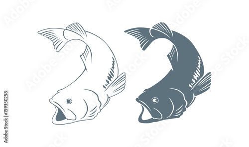 bass fish