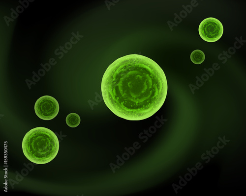 Sphere bacteria cells
