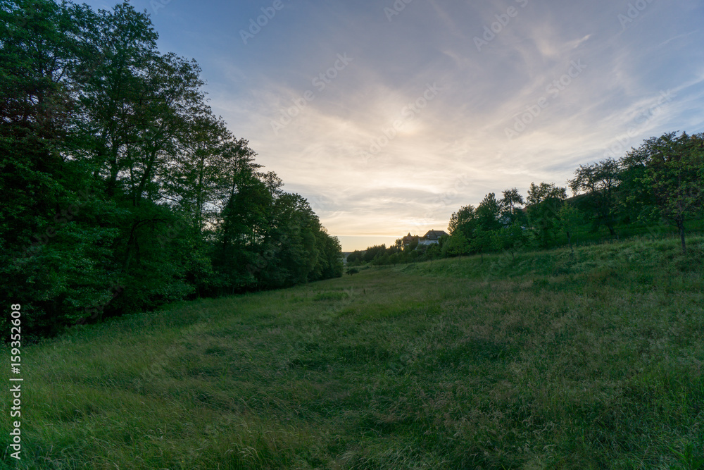 Evening atmosphere on green meadows with colorful sky and trees