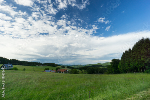 Wide view over black forest  blue sky and green meadows