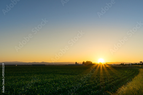 Warm sunset over green fields with mountains of the vosges