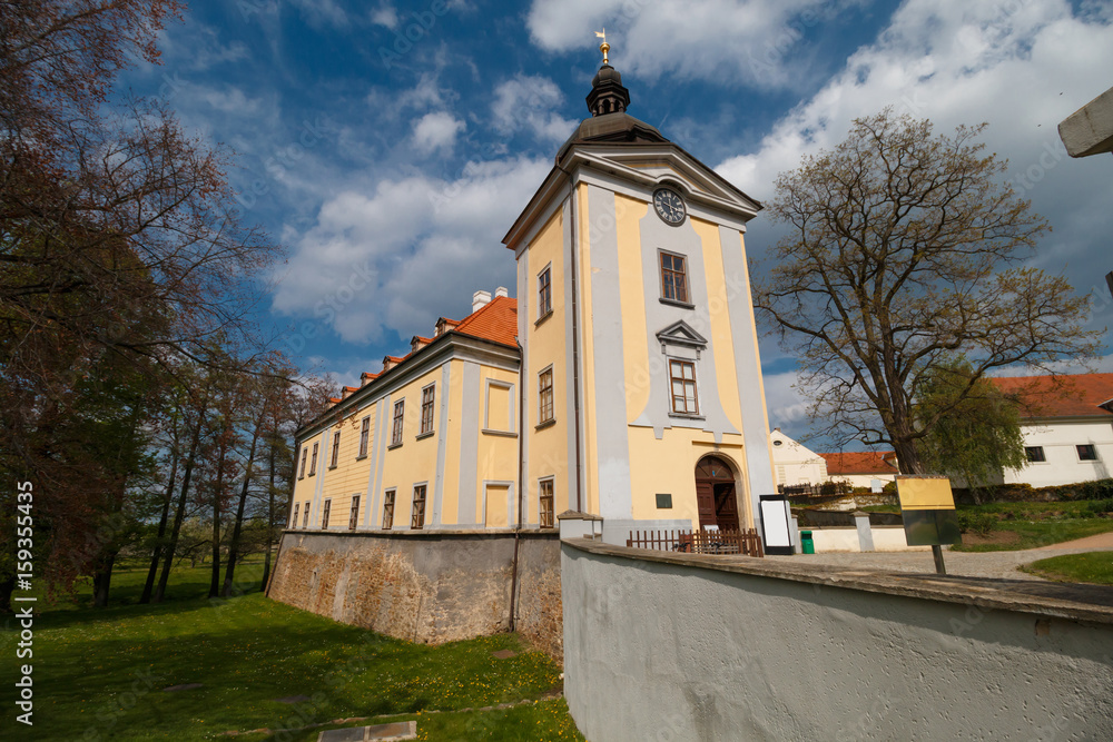 Ctenice Ctenice