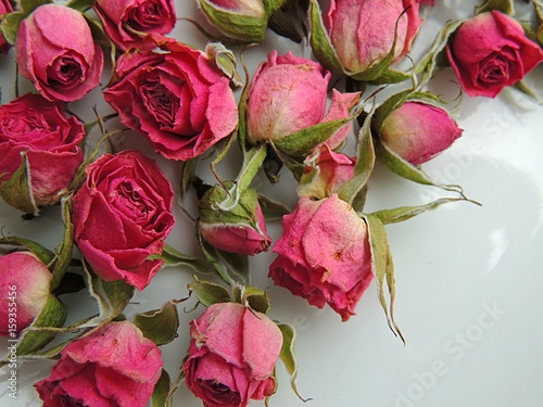 Dry pink roses on white plate.