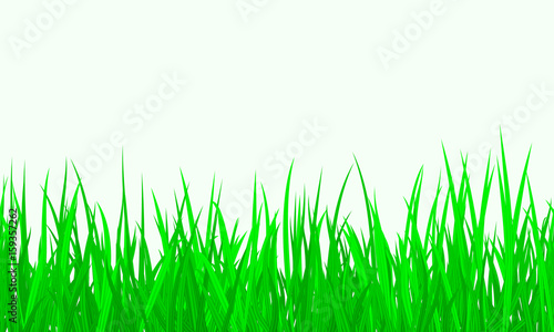 Green Grass Border Seamless background. Vector Illustration