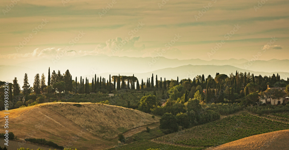 Panorama of the hills of San Gimignano, small medieval village in Tuscany, Italy.