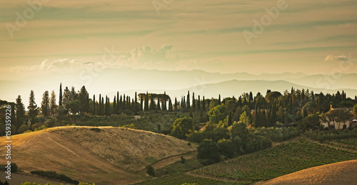 Panorama of the hills of San Gimignano  small medieval village in Tuscany  Italy.