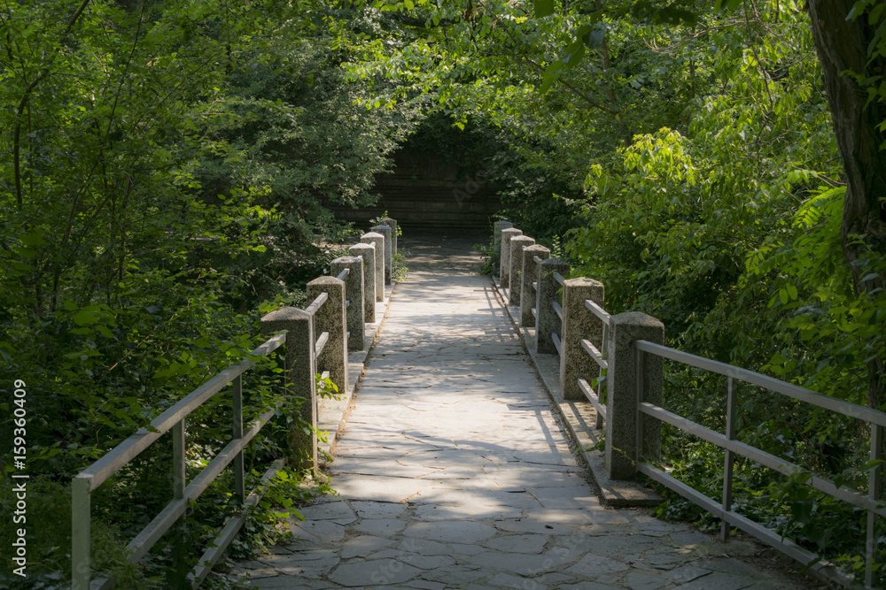 Green park with bridge path to the infinity Green park with bridge path to the infinity