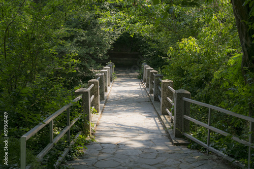 Green park with bridge path to the infinity