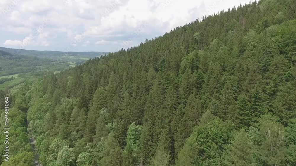Aerial view of the summer time in mountains near Czarna Gora mountain in Poland. Pine tree forest and clouds over blue sky. View from above. Aerial view of the summer time in mountains near Czarna Gora mountain in Poland. Pine tree forest and clouds over blue sky. View from above.