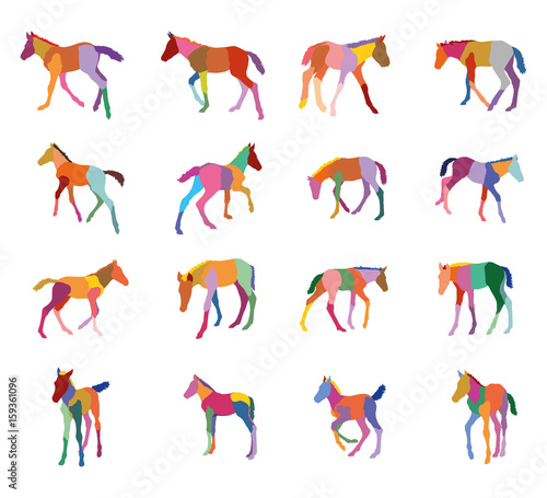 Set of colorful silhouettes of foals