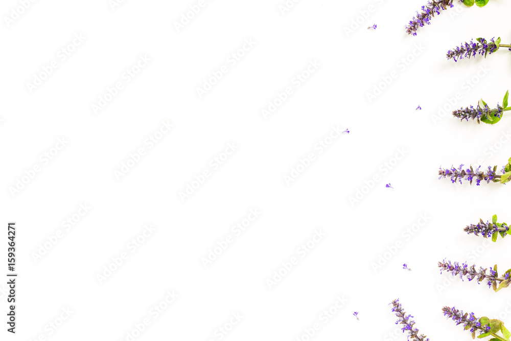 Flowers composition. Blue flowers on white background. Flat lay, top view, copy space Flowers composition. Blue flowers on white background. Flat lay, top view, copy space