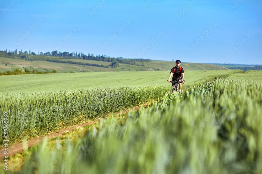 Fototapeta premium Attractive cyclist riding mountain bicyclist in the summer green field.