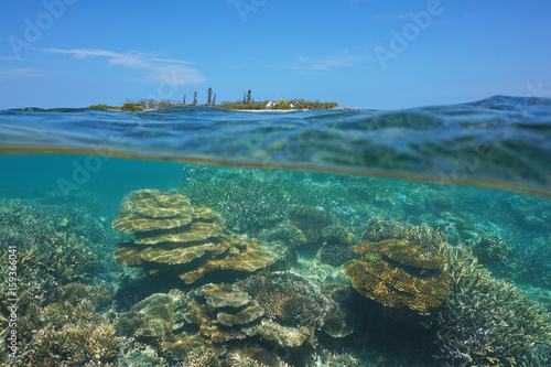 Over under sea surface, Canard island and an healthy coral reef underwater split by waterline, New Caledonia, Noumea, Grande Terre, south Pacific ocean, Oceania