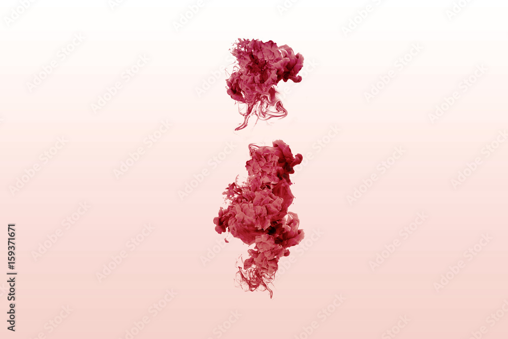 Fototapeta premium Colorful Ink in water isolated on white background. Rainbow of colors. Color mixed painting fog. Color explosion.