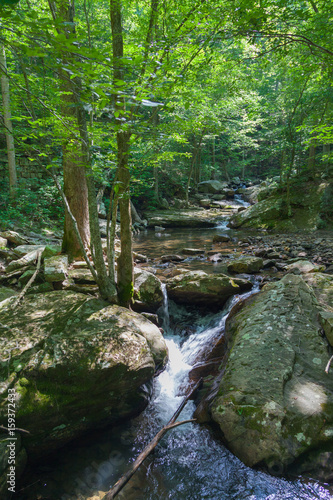 Laurel Snow State Natural Area