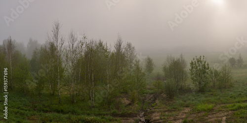 Morning landscape, in which the forest hid in the fog