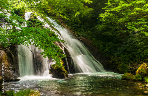 Fototapeta Naklejka Na Ścianę i Meble -  新緑が美しい 名水の滝