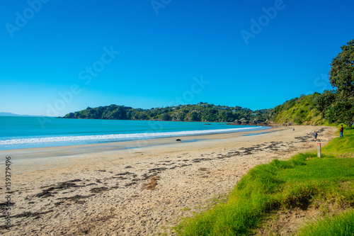 White Sand Beach on Waiheke Island, New Zealand with a beautiful blue sky in a sunny day with some houses behind