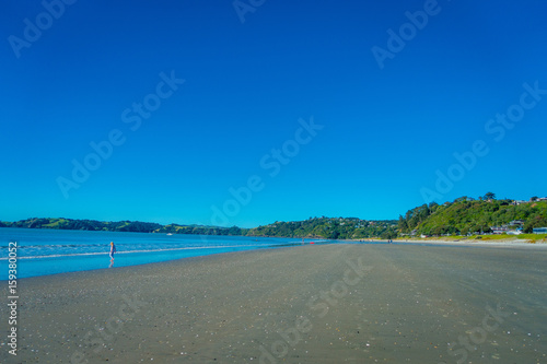 Fototapeta Naklejka Na Ścianę i Meble -  Dark Sand Beach on Waiheke Island, New Zealand with a beautiful blue sky in a sunny day