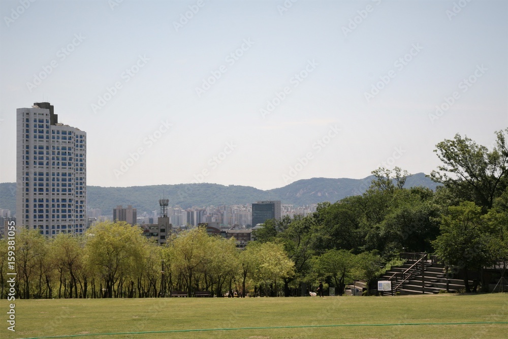 Korea seoul city park
