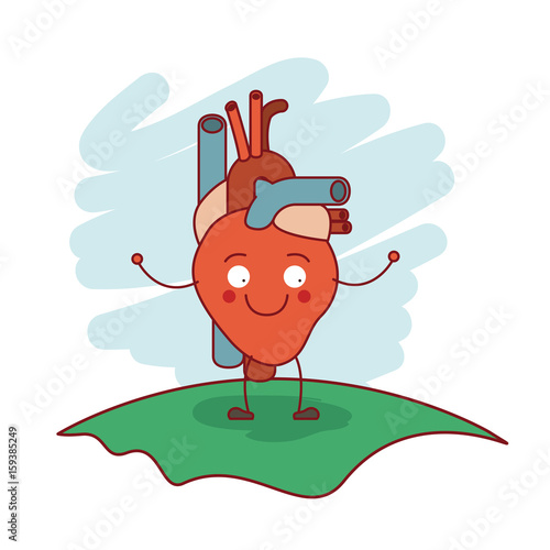 colorful scene in grass with silhouette caricature circulatory system with heart vector illustration
