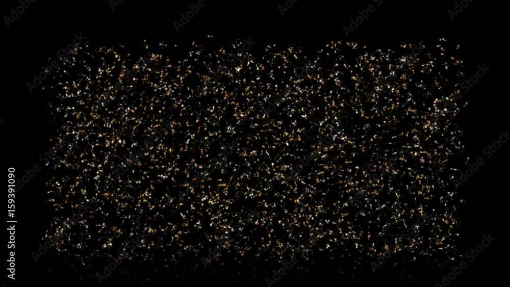 4k Abstract fly particles light tail fireworks,bio microbes bacteria ...