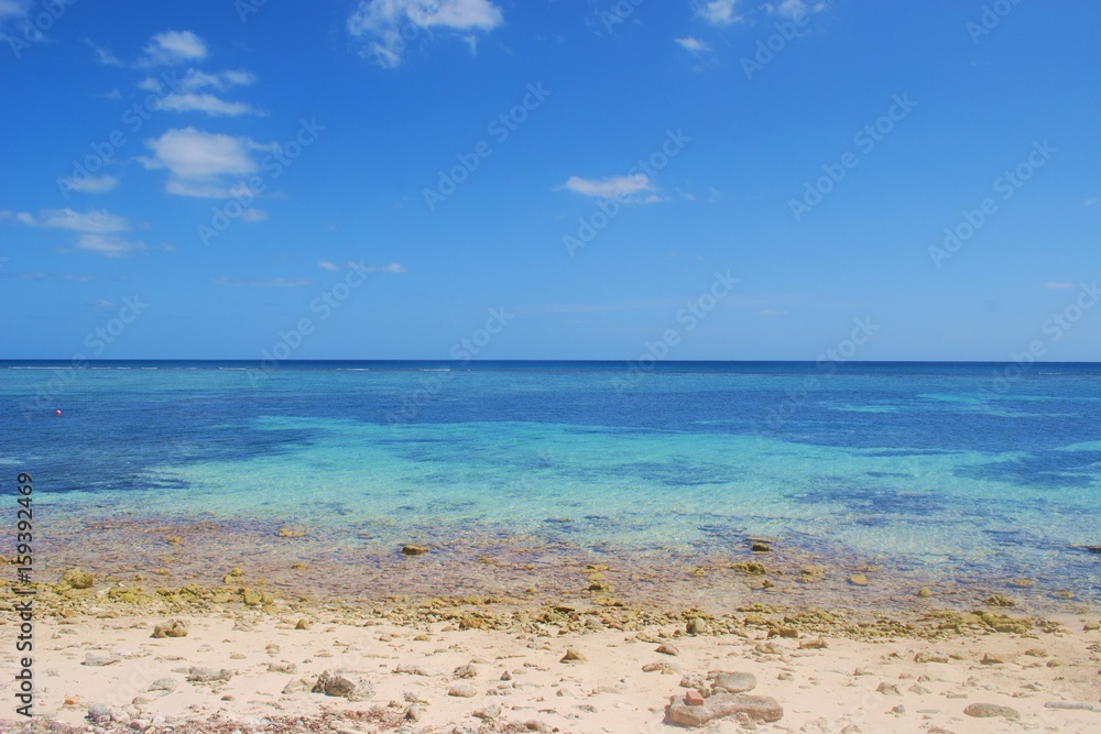 Caribbean ocean view