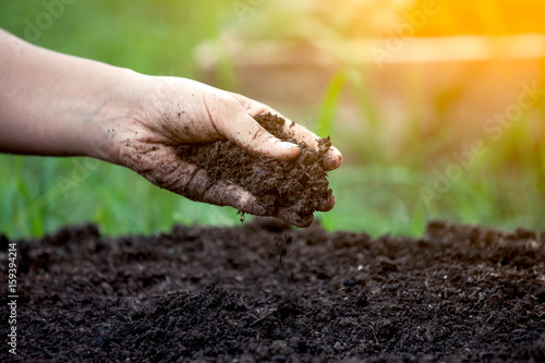 Soil in hand for planting photo