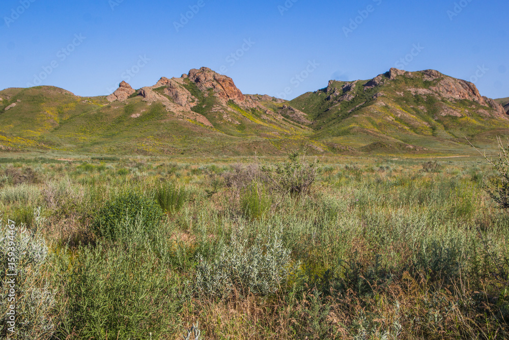 Steppe landscape in the spring near the Ili River, Kazakhstan