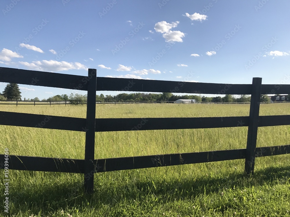 Fototapeta premium Summer Fence 2