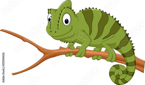 Cartoon chameleon on a branch