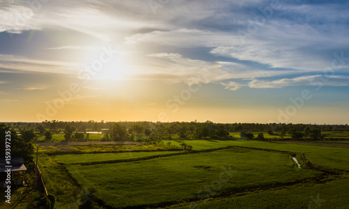 Landscape of rice field and sky during sunset in summer,