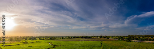 Landscape of rice field and sky during sunset in summer,Panorama