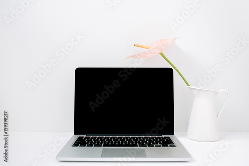 Laptop and pale pink anthurium flower in white watering can near white background. Front view. Floral background