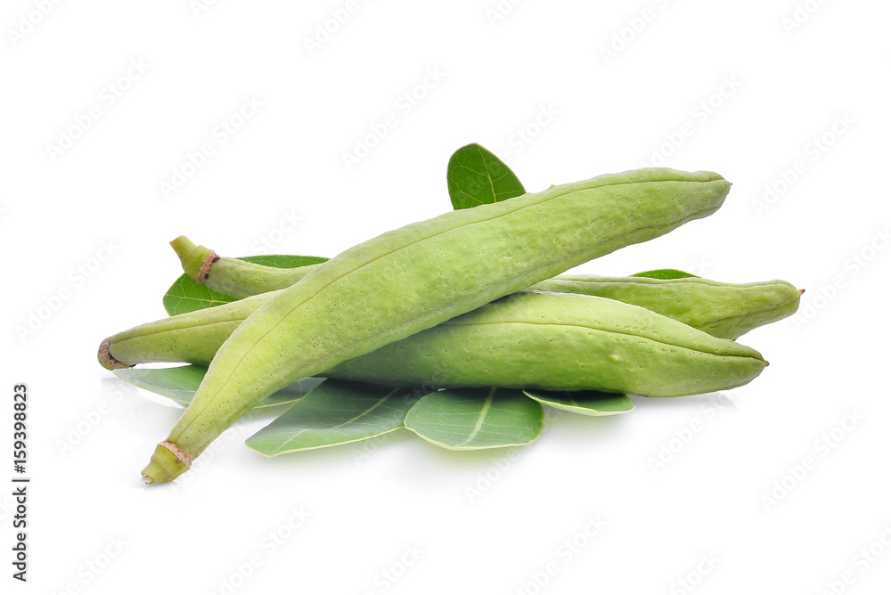 Tabebuia aurea pods with green leaves isolated on white background Tabebuia aurea pods with green leaves isolated on white background