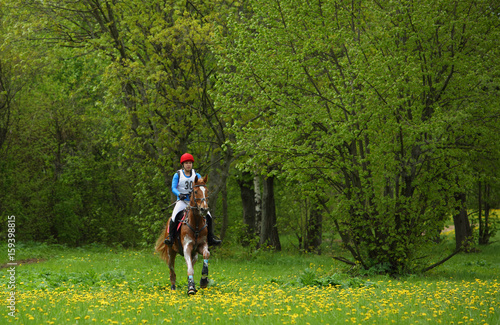 Horse and rider ride cross country 