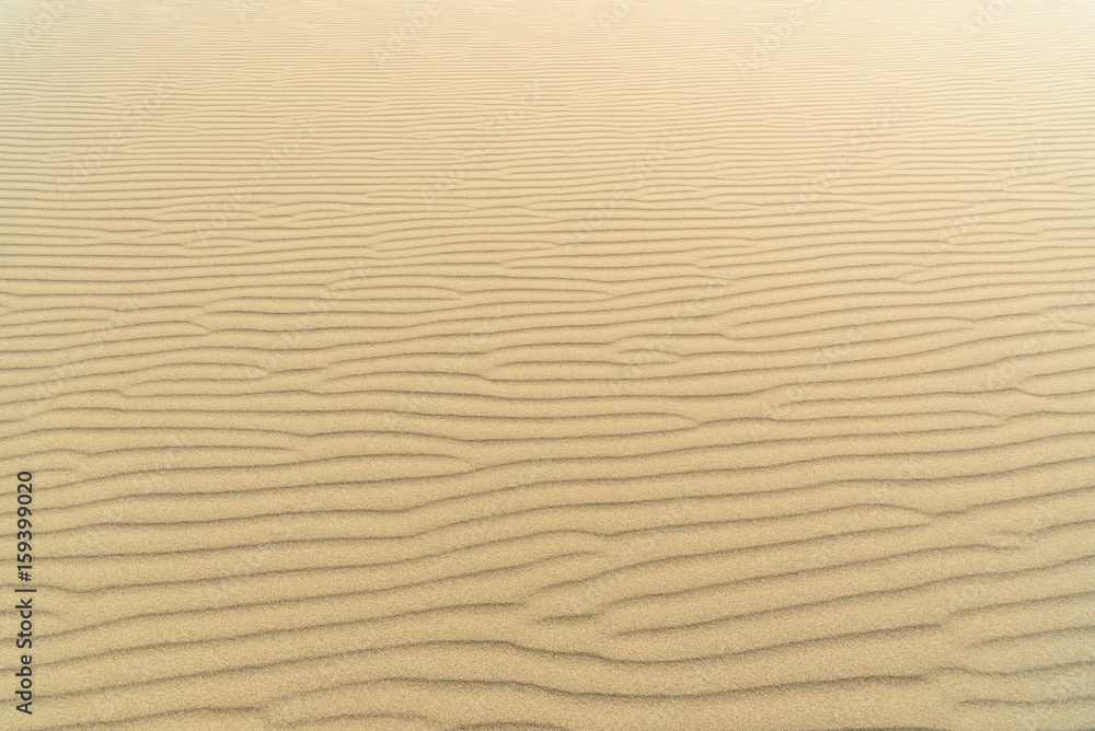Sand dunes Sand dunes