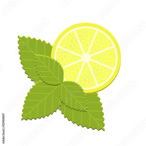 Vector mint and lemon