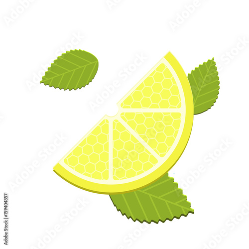 Vector mint and lemon