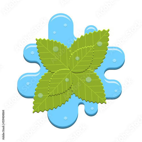 Vector mint in water