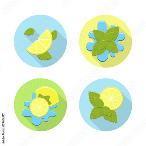 Vector mint and lemon in water