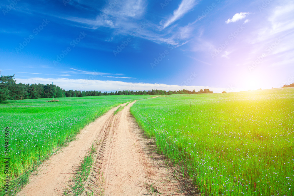 Obraz premium beautiful field and road